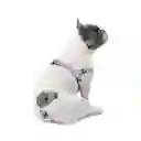 Arnés Para Perro Brunno Xl Morado