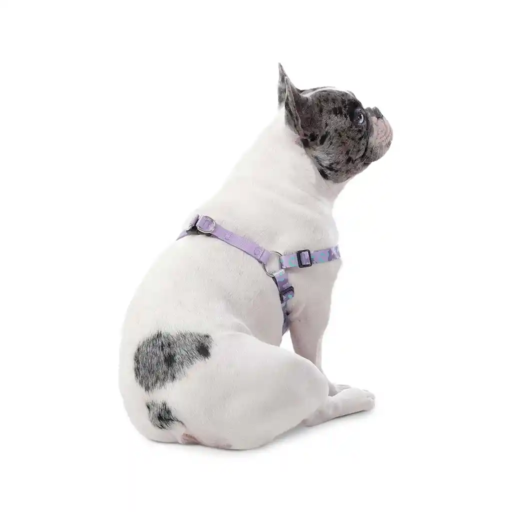 Arnés Para Perro Brunno Xl Morado