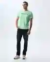 Camiseta Hombre Verde Talla M 841G000_VER130117 Americanino