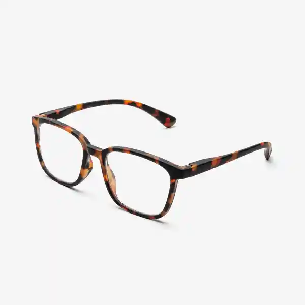 B+D Gafas Reading Max Carey + 3.00