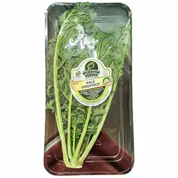 Huertos Verdes Kale Orgánico