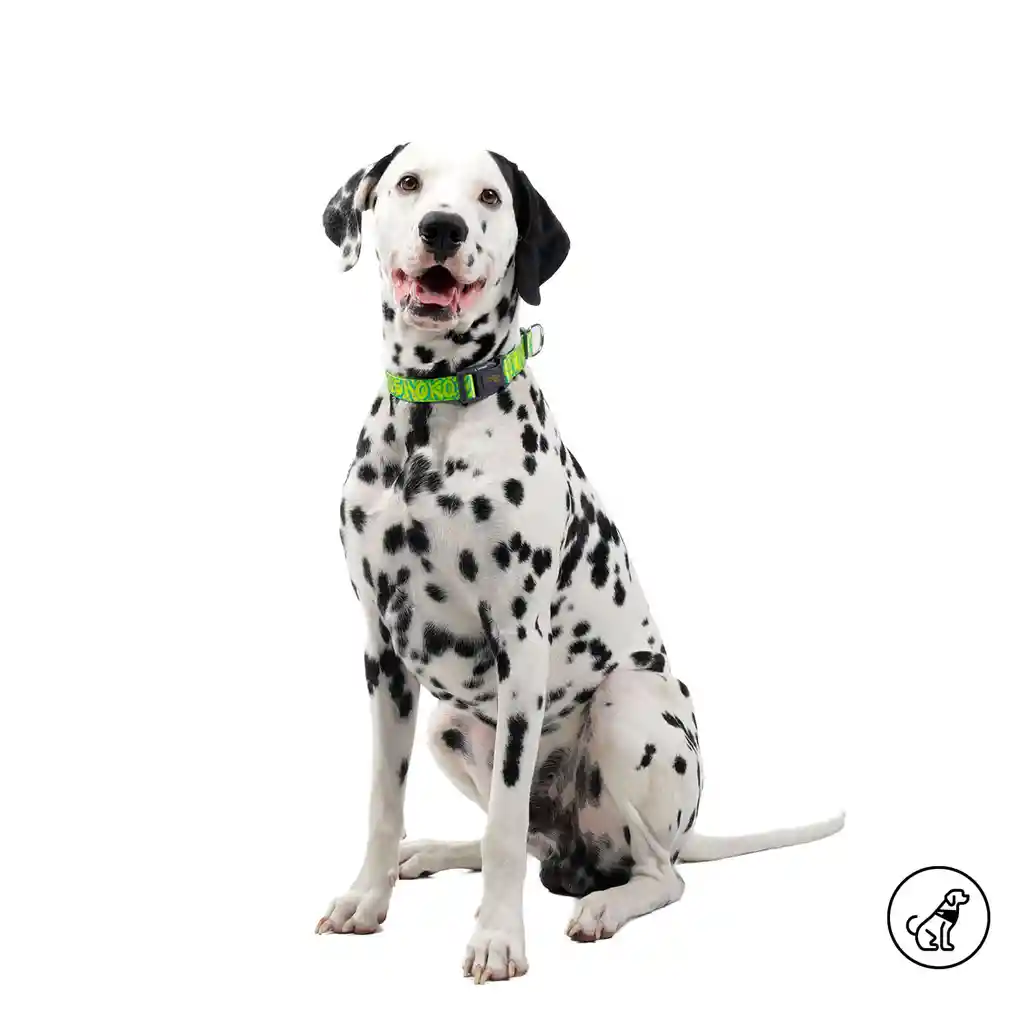 Collar Ajustable Para Perro Mylu L Amarillo