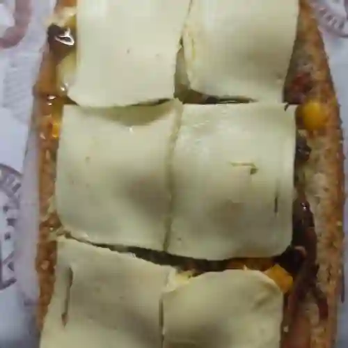 Perra de la Casa