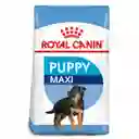 Royal Canin Comida para Perro Puppy Maxi