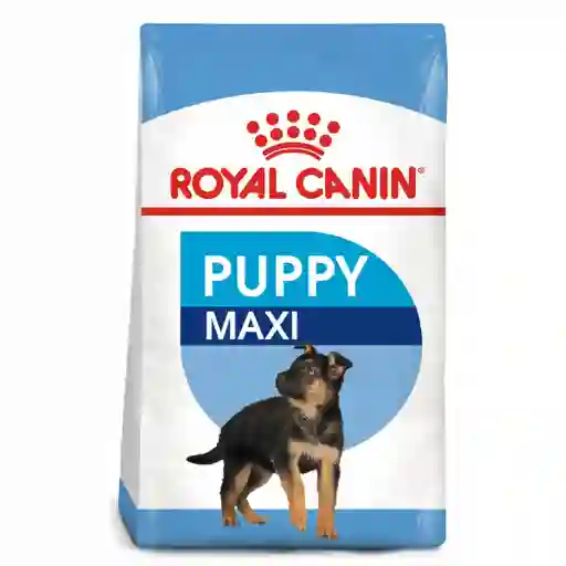 Royal Canin Comida para Perro Puppy Maxi