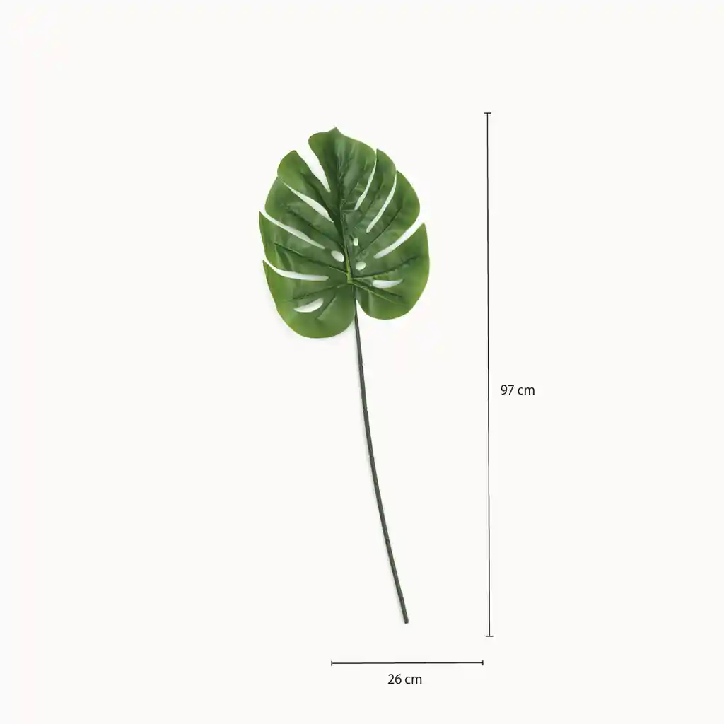 Ambiente Gourmet Hoja Monstera