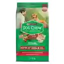 Comida para perro Dog Chow Adulto medianos y grandes x 17 kg