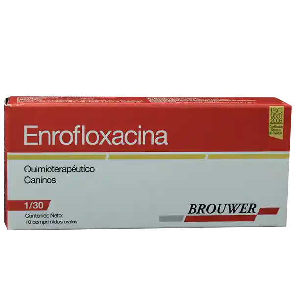 Enrofloxacina Antibiótico Quimioterapéutico Caninos