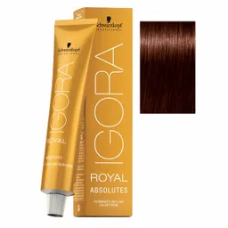 Igora Tinte Absolutes Castaño Medio Cobrizo Nat N.4.70 60 mL