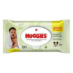 Oferta Toallitas Huggies Húmedas Limpieza Disney Baby (120 Und)
