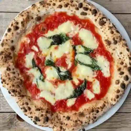 Pizza Margarita