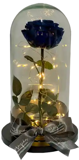 Rosa Iluminada Azul Noche