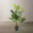 Ambiente Gourmet Planta Artificial Monstera