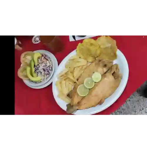 Trucha