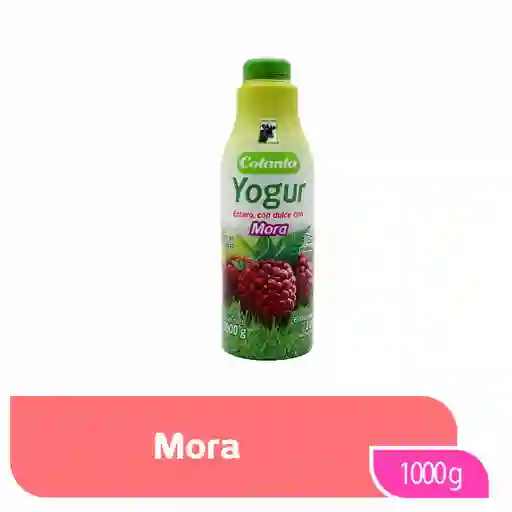Yogur Entero Mora Colanta Garrafa x 1000 g