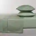 Sábana 240 Hojas Sencillo Verde Diseño 0007