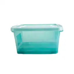 Caja Organizadora Ruedas Transparente Color Salvia