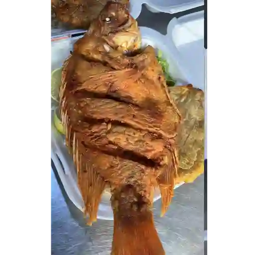 Mojarra frita