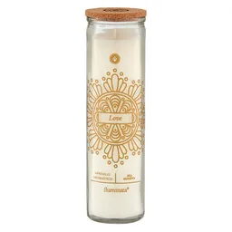 Iluminata Vela Vaso Sándalo Blanco 28 x 5 cm