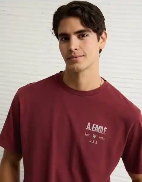Camiseta Hombre Vinotinto Talla Medium 4659558 American Eagle