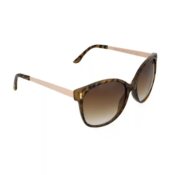 Gafas Para Mujer Color Havana X17037 Steve Madden