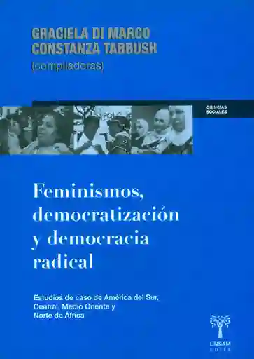 Feminismos  Democratización Y Democracia Radical: Estudios De Caso De América Del Sur, Central, Medio Oriente Y Norte De África
