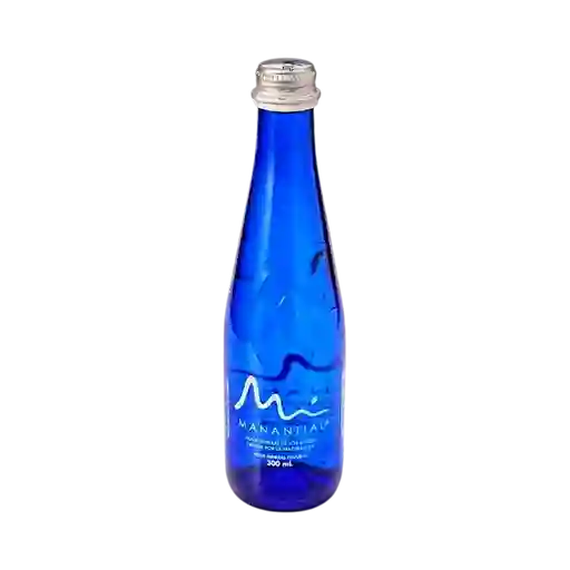 Manantial Sin Gas 300 ml