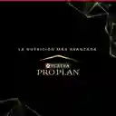Comida para Gatos Adultos Purina Pro Plan x 3 kg