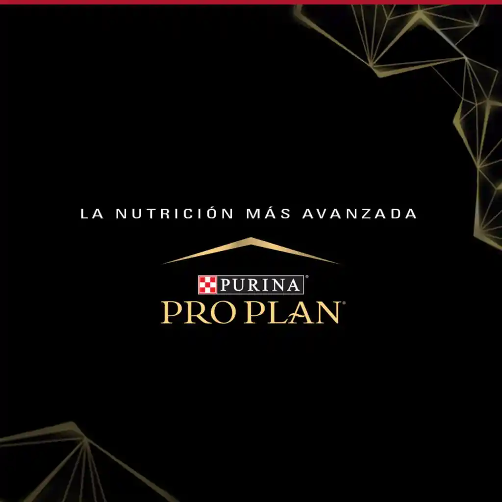 Comida para Gatos Adultos Purina Pro Plan x 3 kg