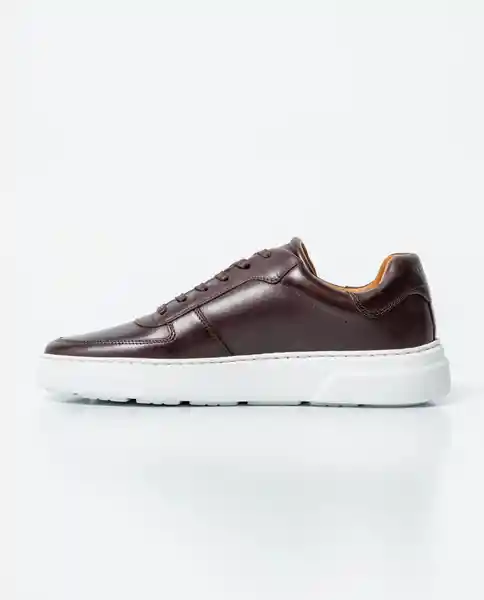 Tenis Smart Heritage Masculino Café Tostado Medio 43 Chevignon