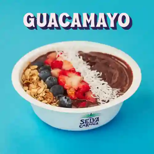 Bowl Guacamayo