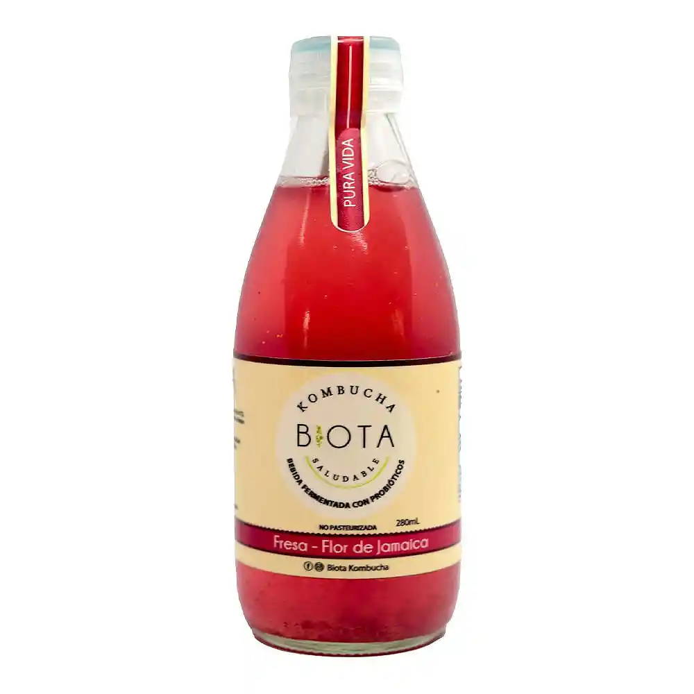 Bebida Biota Kombucha Fresa Flor de Jamaica