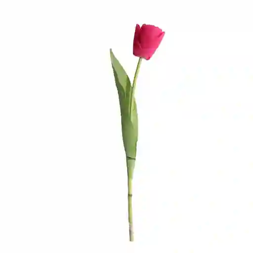 Tulipan Gio Home Mediano Rojo
