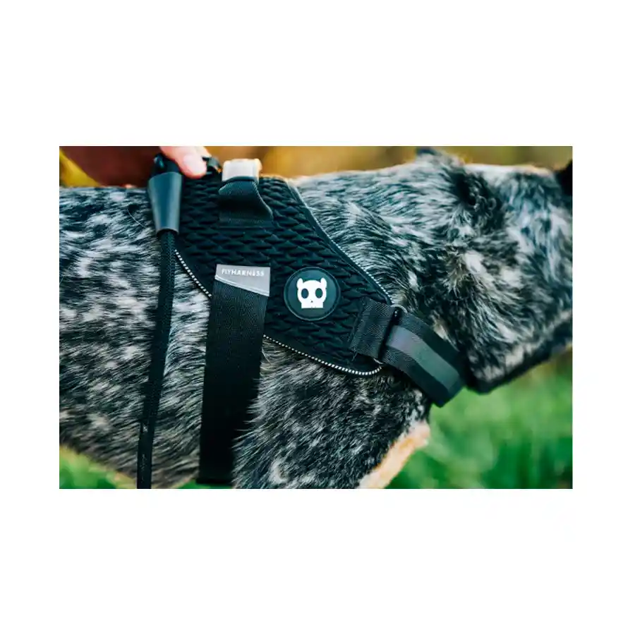 Zeedog Arnés Gotham Flyharness Talla 5