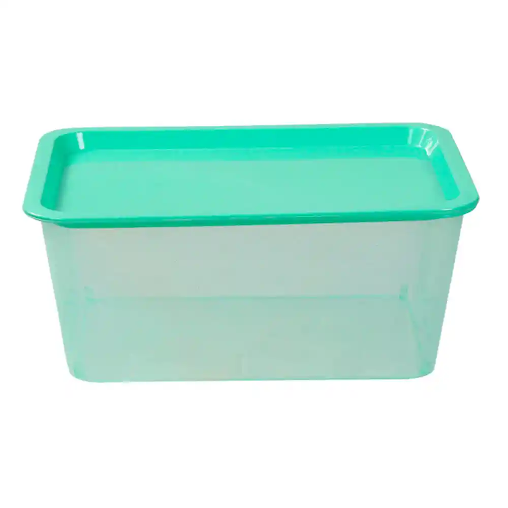Caja Krea Plástica Esencial Verdoso