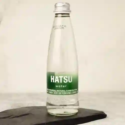 Agua Mineral Natural Carbonatada 300 ml