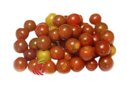 Tomate Cherry Rose Eurosemillas