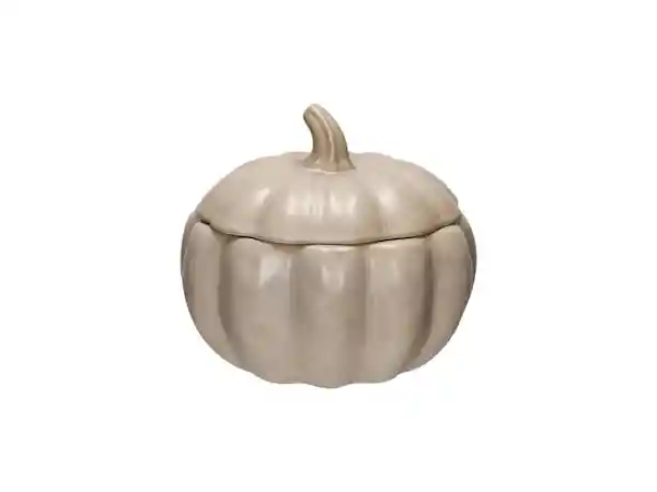 Bowl Con Tapa Casaideas