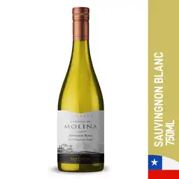 Castillo De Molina Sauvignon Blanc Reserva Botella 750 ml