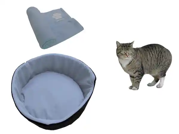 Cama Para Gato Pequeña + Cobija Térmica Mediana Celeste