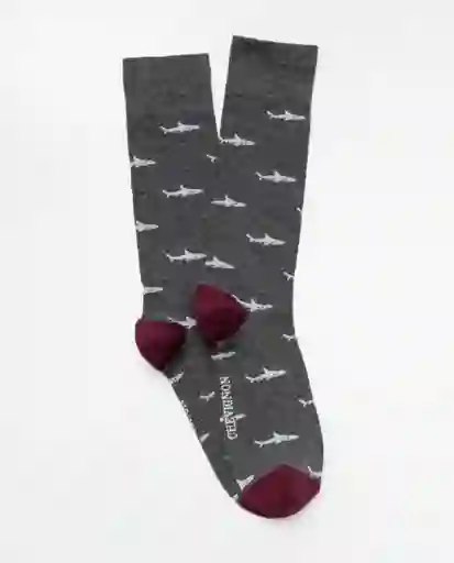 Medias Shark Negro Sombrío Ultraoscuro Talla 10-12 Chevignon