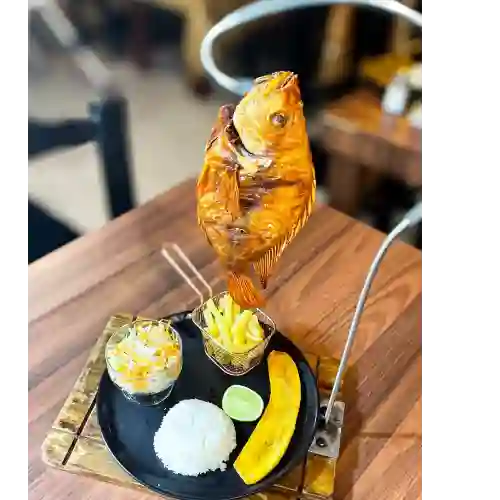 Tilapia Frita