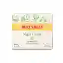 Burts Bees Crema Facial Hidratante de Noche Piel Sensible