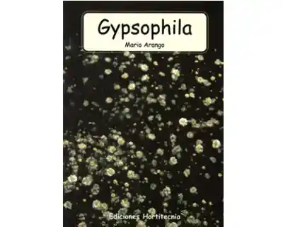 Gypsophila - Mario Arango Marín