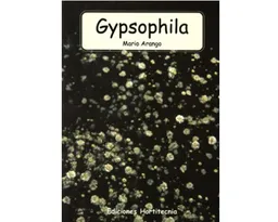 Gypsophila - Mario Arango Marín