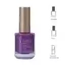 Esmalte de Uñas a Base de Aceite Colorich 06 Miniso