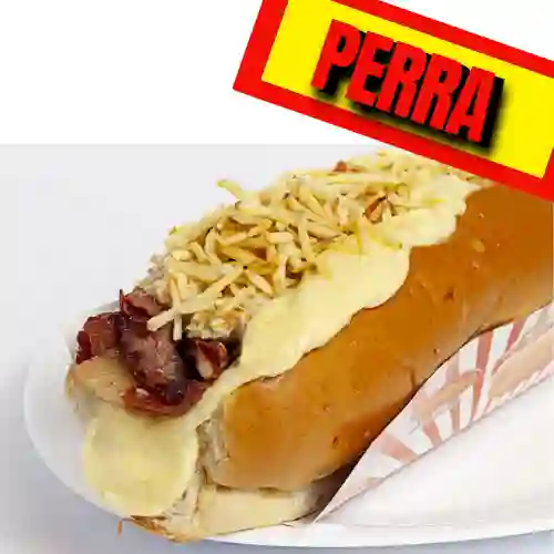 Perra