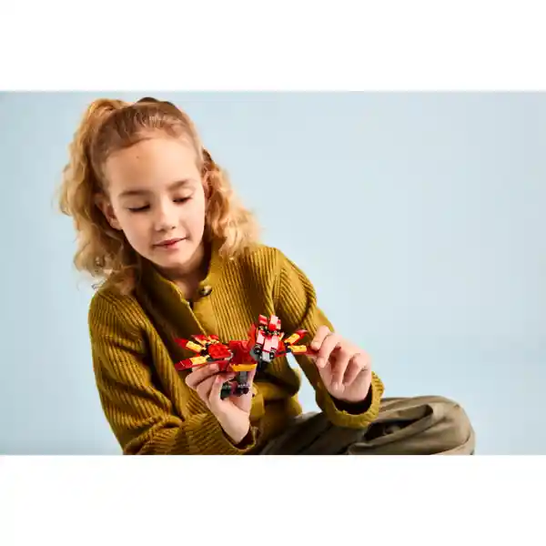 Set Construcción Fawkes: Fénix de Dumbledore Lego