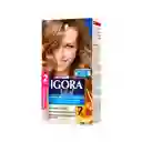 Tinte Igora Vital 8-00 Rubio Claro