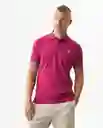 Camiseta Polo Muscle Masculino Morado Talla L 192432 Chevignon